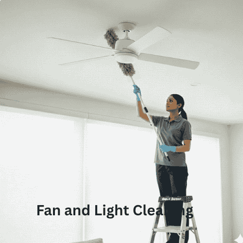 Fan and Light Cleaning